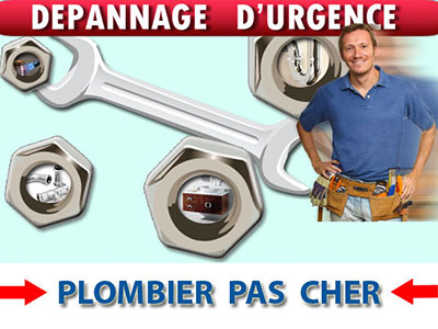 Canalisation Bouchée Champigny sur Marne 94500