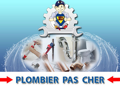 Canalisation Bouchée Gretz Armainvilliers 77220